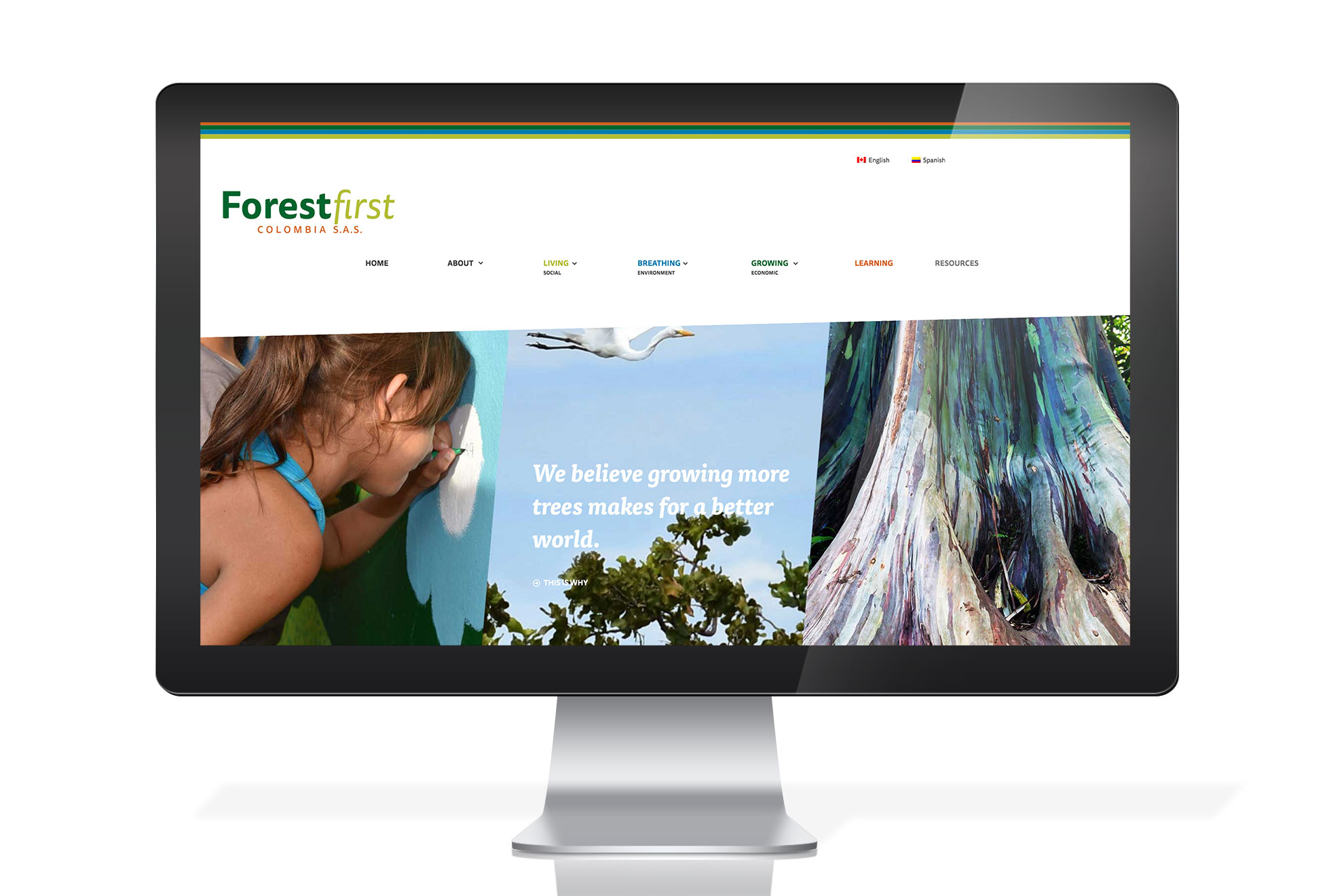 Webdesign_ForestFirst